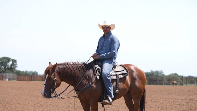 Roping on Rollo