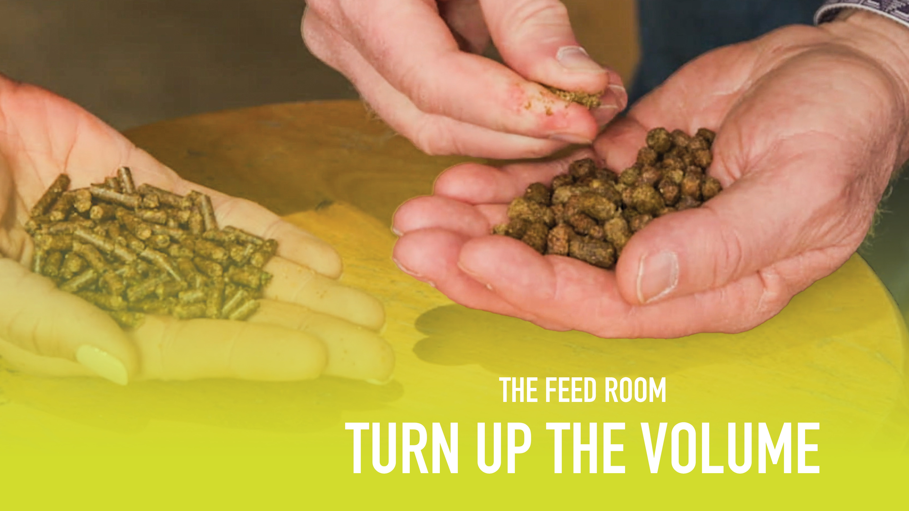 The Feed Room Episode Four: Turn Up the Volume 