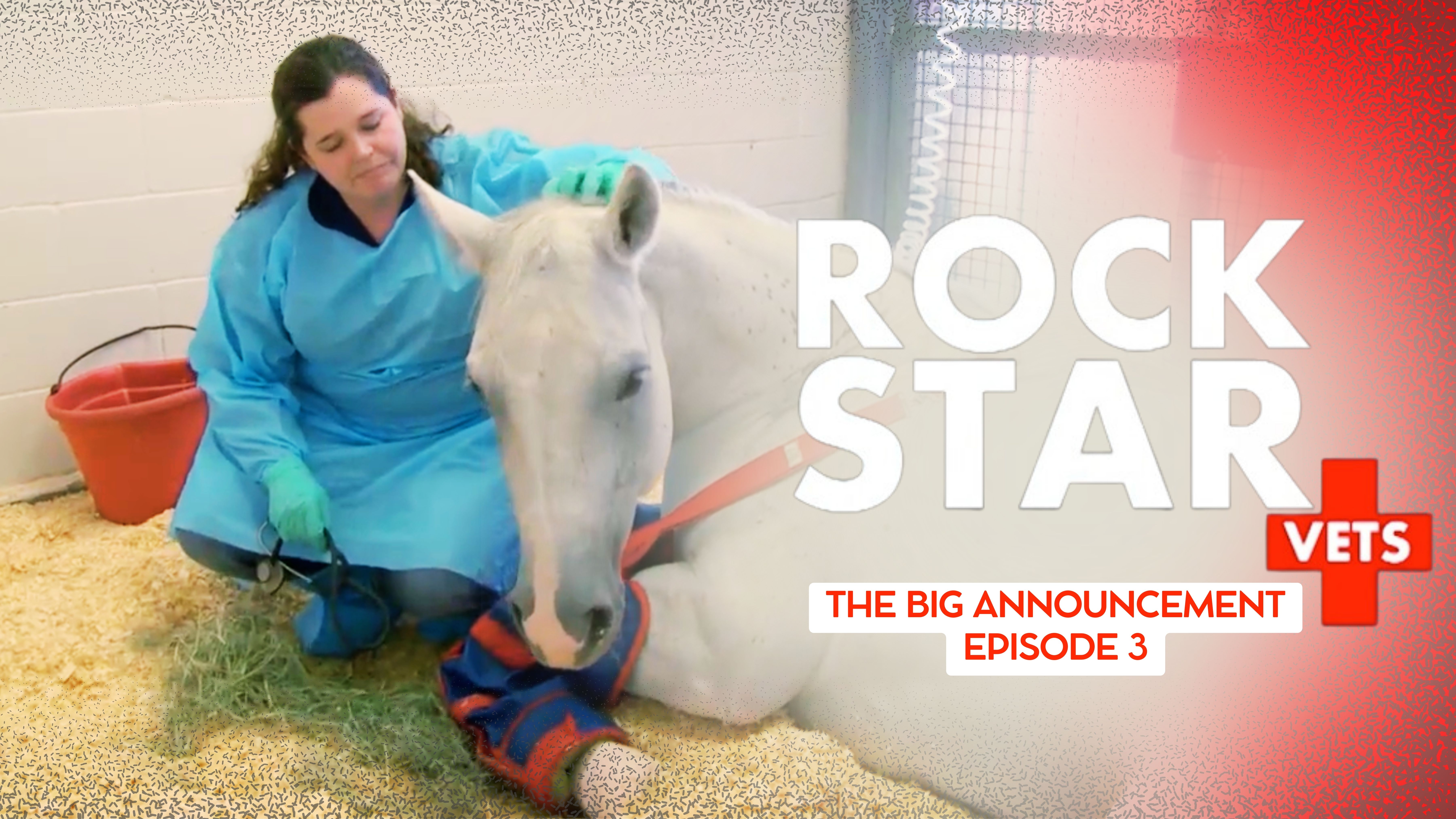 The Big Announcement