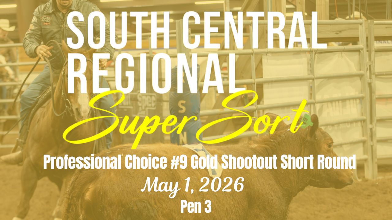 #9 Shootout Short Round | Cinch RSNC South Central Regional | Pen 3 | 5/1/26