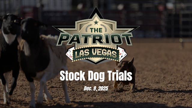 Stock Dog Trials | Patriot Las Vegas ...