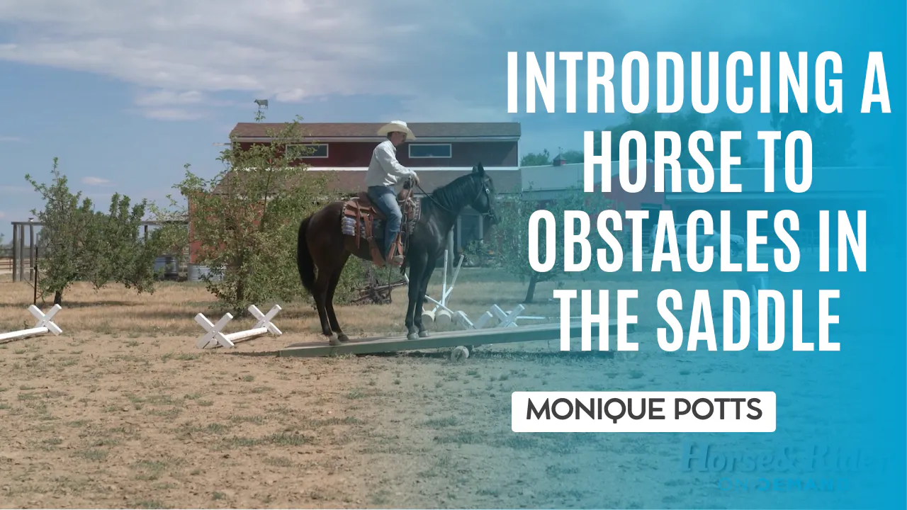 Introducing a Horse to Obstacles in the Saddle - Problem Solving - RIDE TV