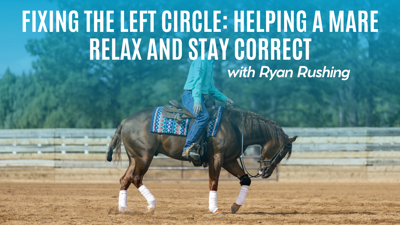 Fixing the Left Circle: Helping a Mare Relax and Stay Correct