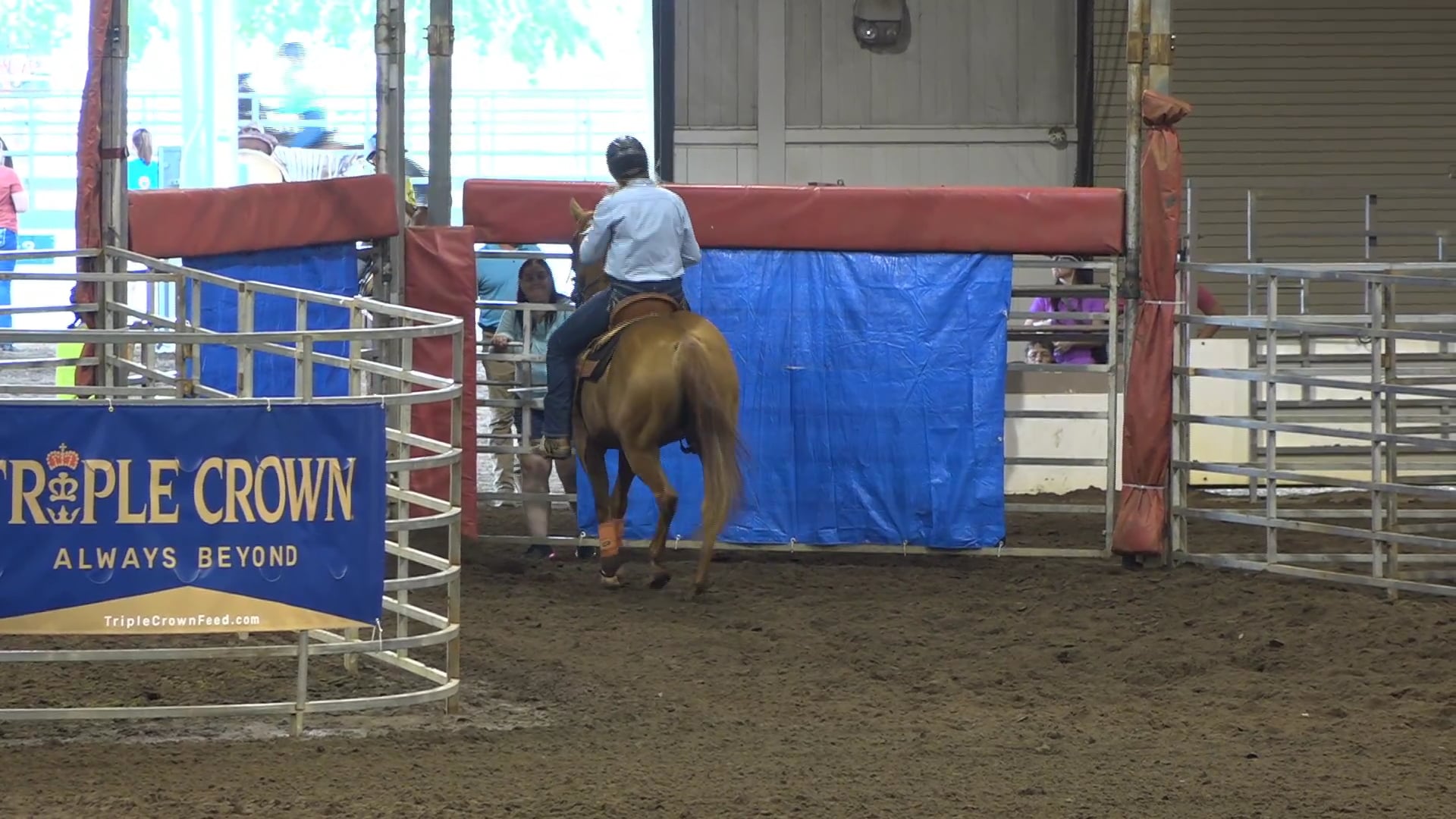 2019 NBHA GA Op2 #280-276