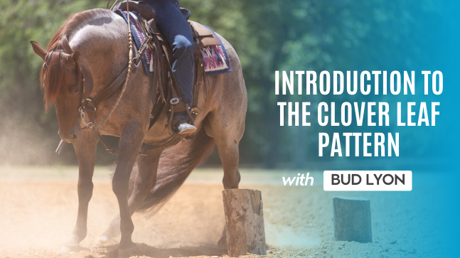 Introduction To The Clover Leaf Pattern