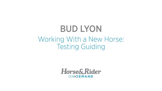 Working With a New Horse:Guiding