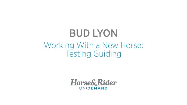 Working With a New Horse:Guiding