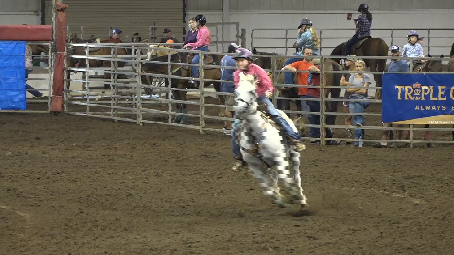 2019 NBHA GA Y1 #181-185