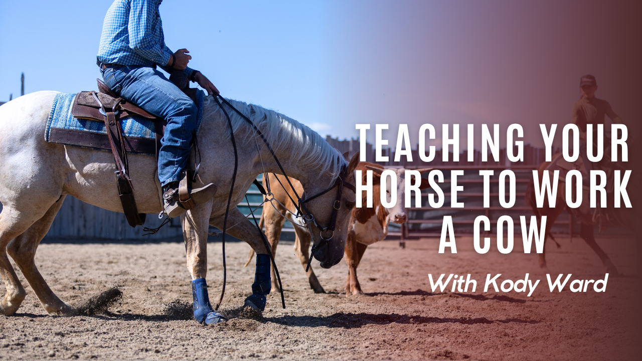 Teaching Your Horse to Work a Cow