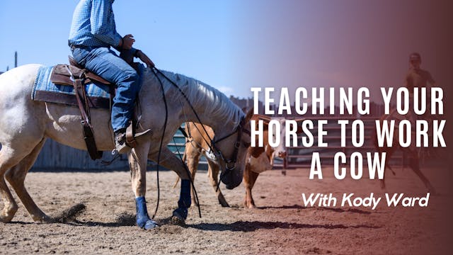 Teaching Your Horse to Work a Cow