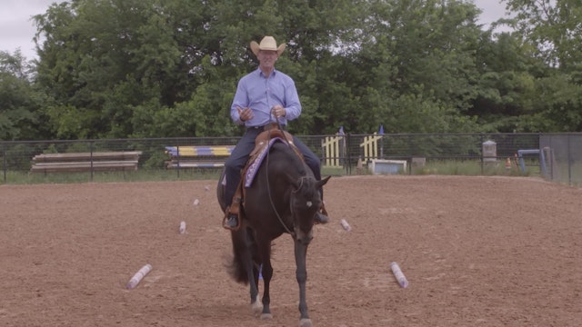 Using Poles to Help Guide You in Western Riding