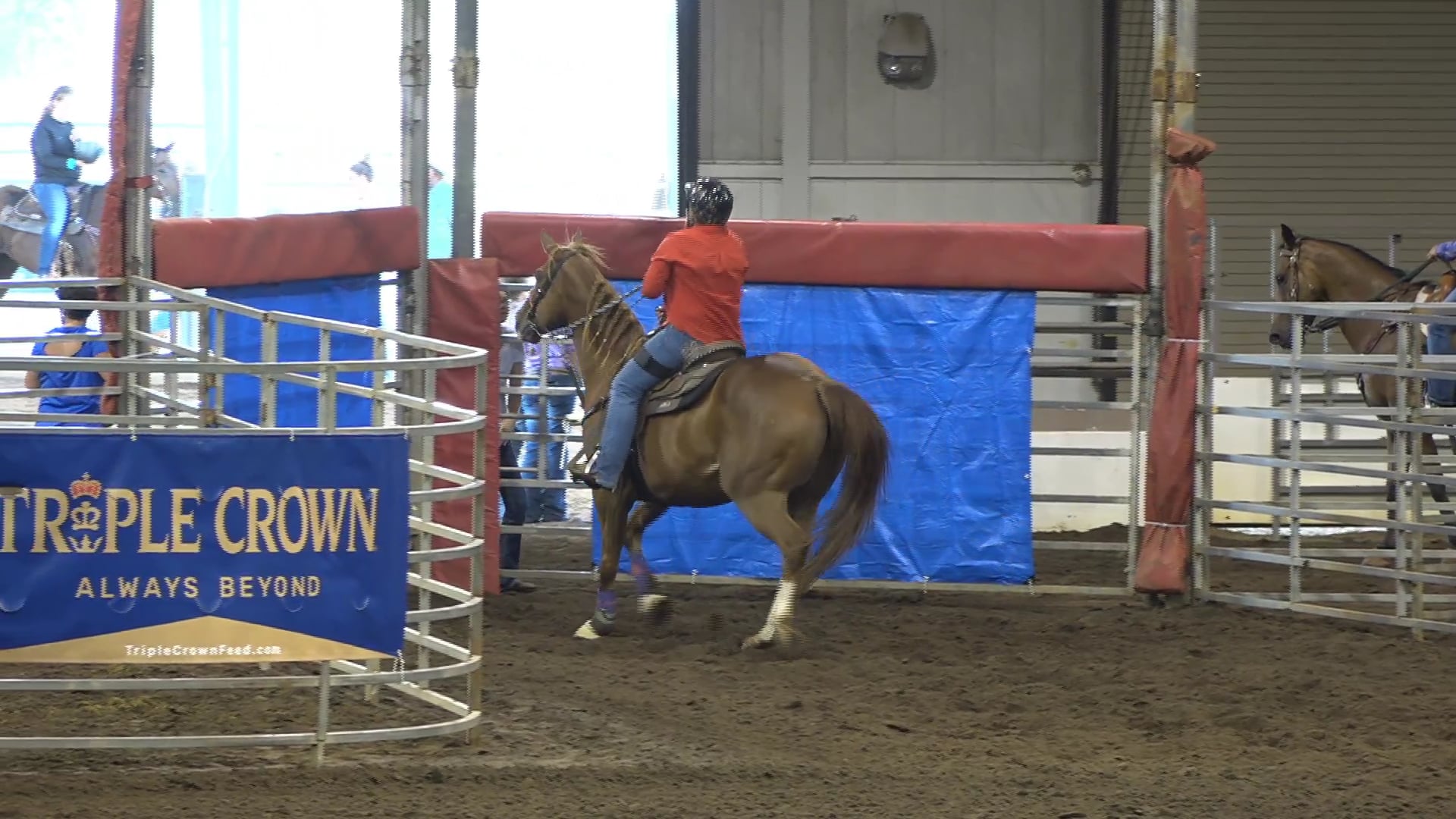 2019 NBHA GA Op1 #441-445