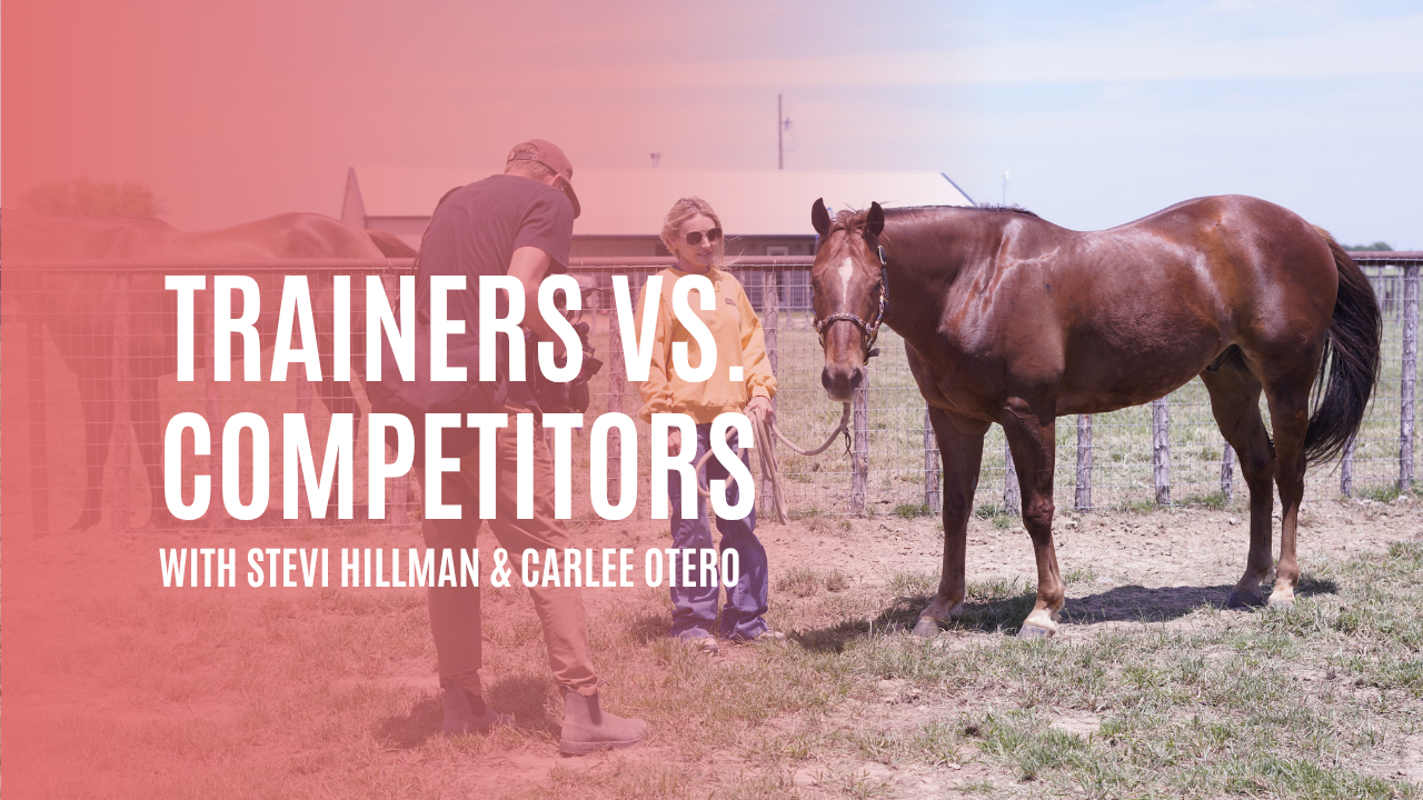 Stevi Hillman and Carlee Otero: Trainers vs. Competitors