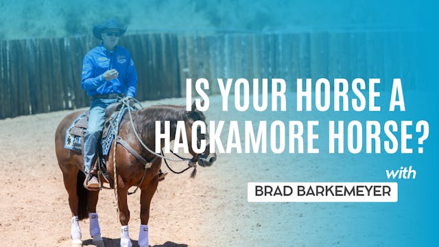 Is Your Horse a Hackamore Horse?