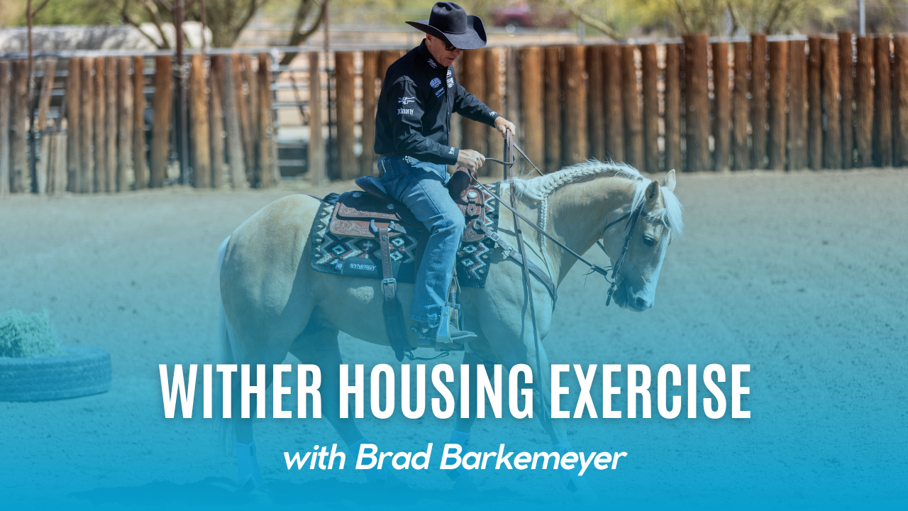 Wither Housing Exercise with Brad Barkemeyer