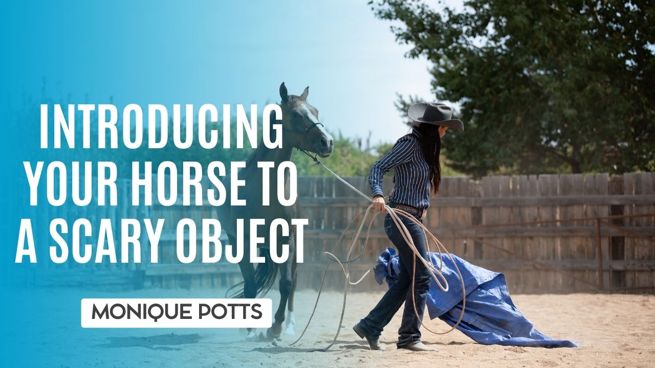 Introducing Your Horse to a Scary Object