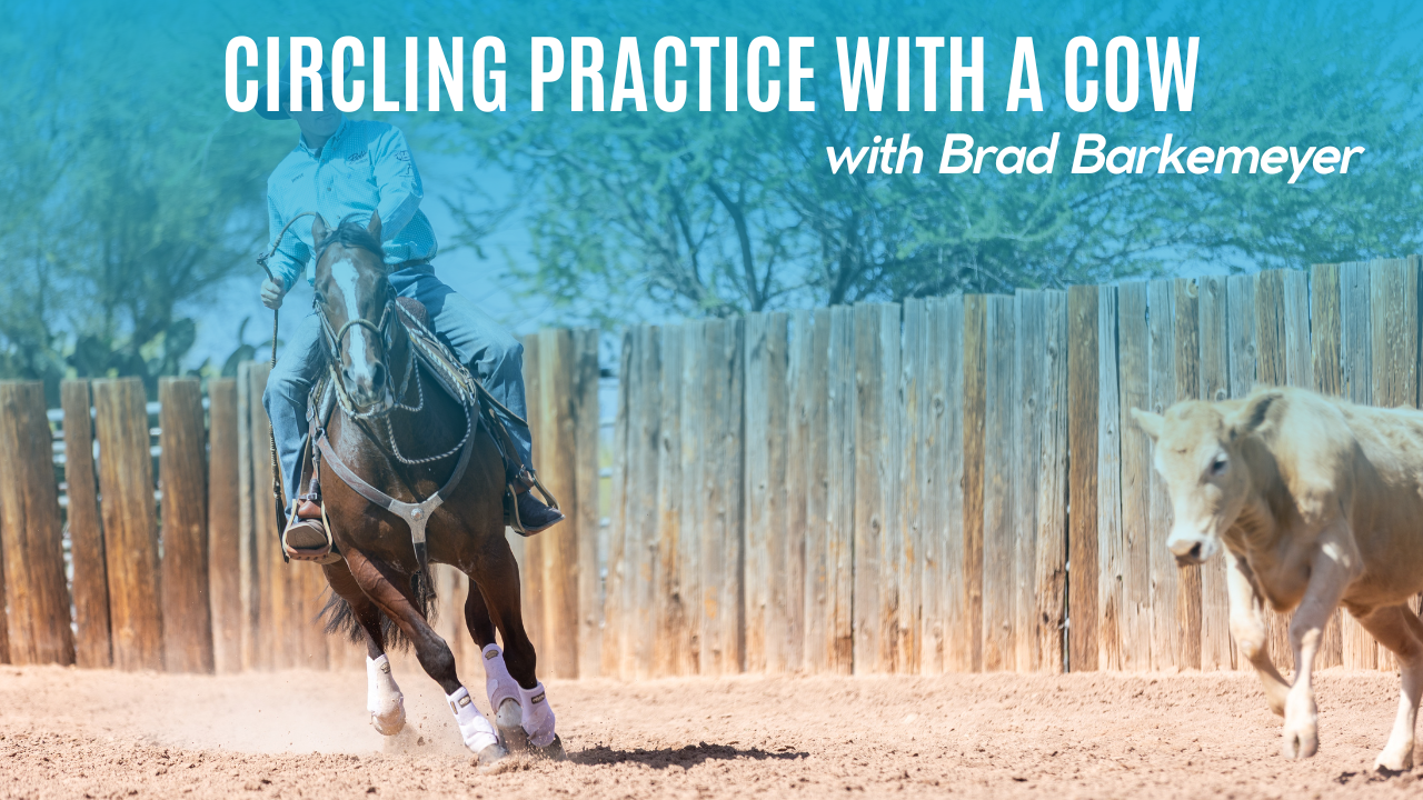 Circling Practice with a Cow with Brad Barkemeyer