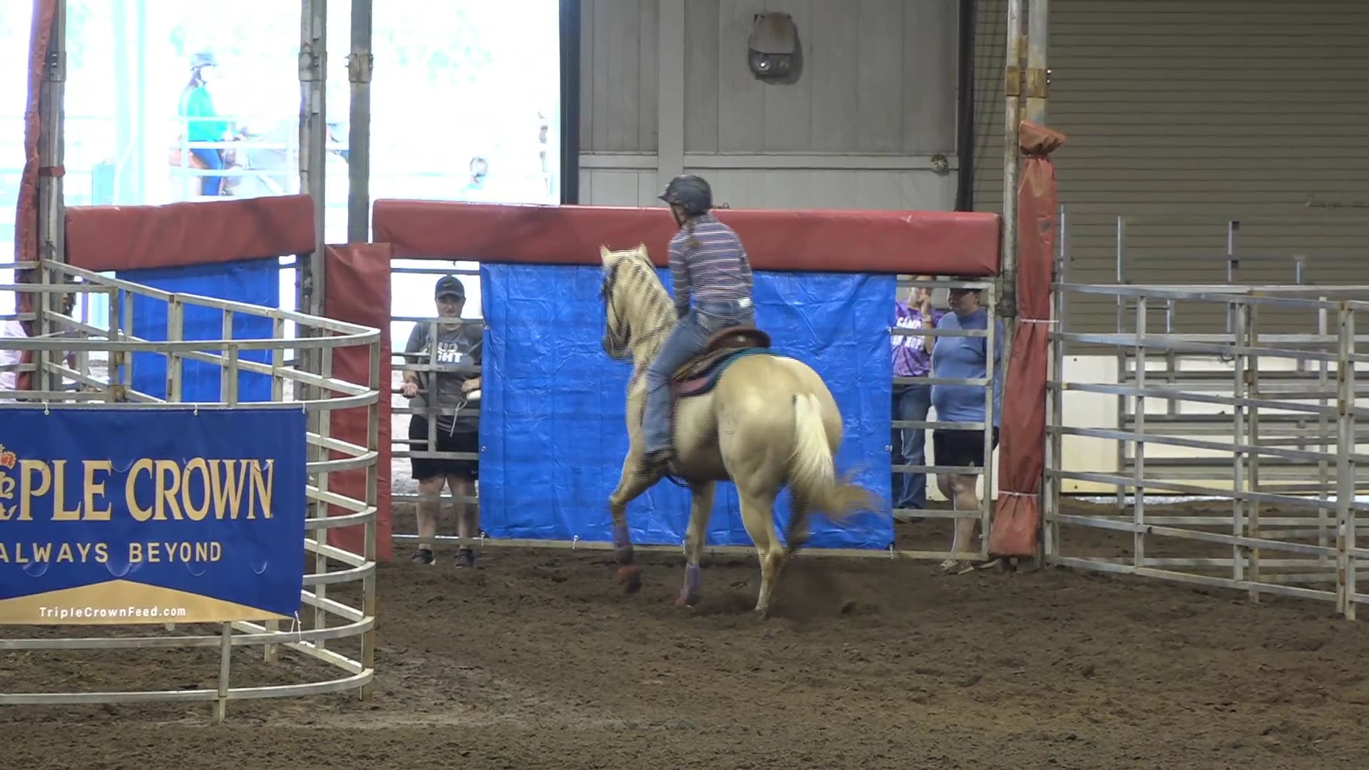 2019 NBHA GA Op1 #366-370