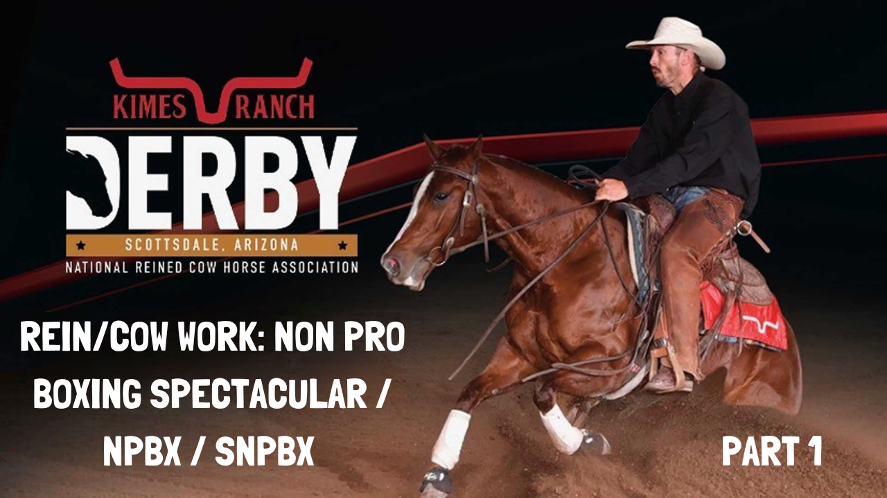 Rein/Cow Work: Non Pro Boxing Spectacular/NPBX/SNPBX | 2026 NRCHA Derby Equidome