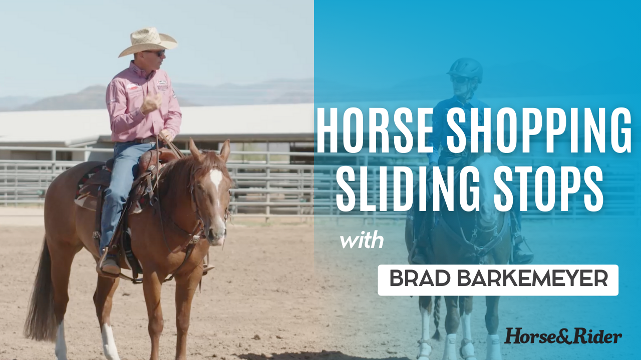 Horse Shopping: Sliding Stops 