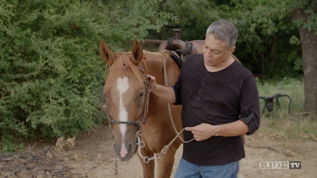 Horsemanship with Eddie Rodriguez - Tack