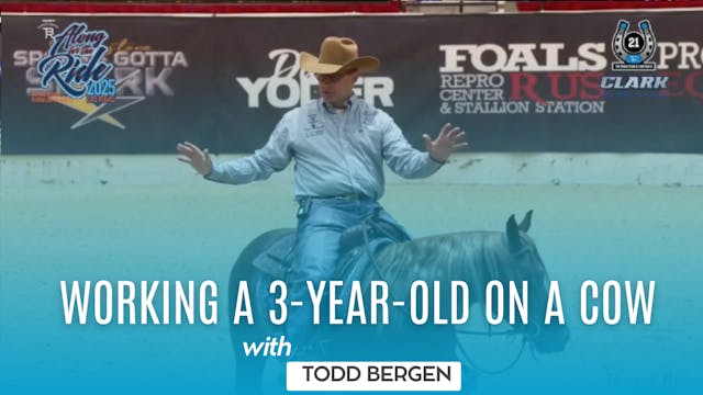 Working a 3-Year-Old on a Cow with To...