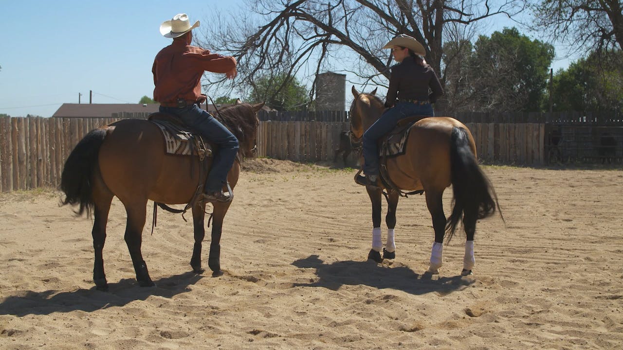 Learn How to Read Cattle - RIDE TV