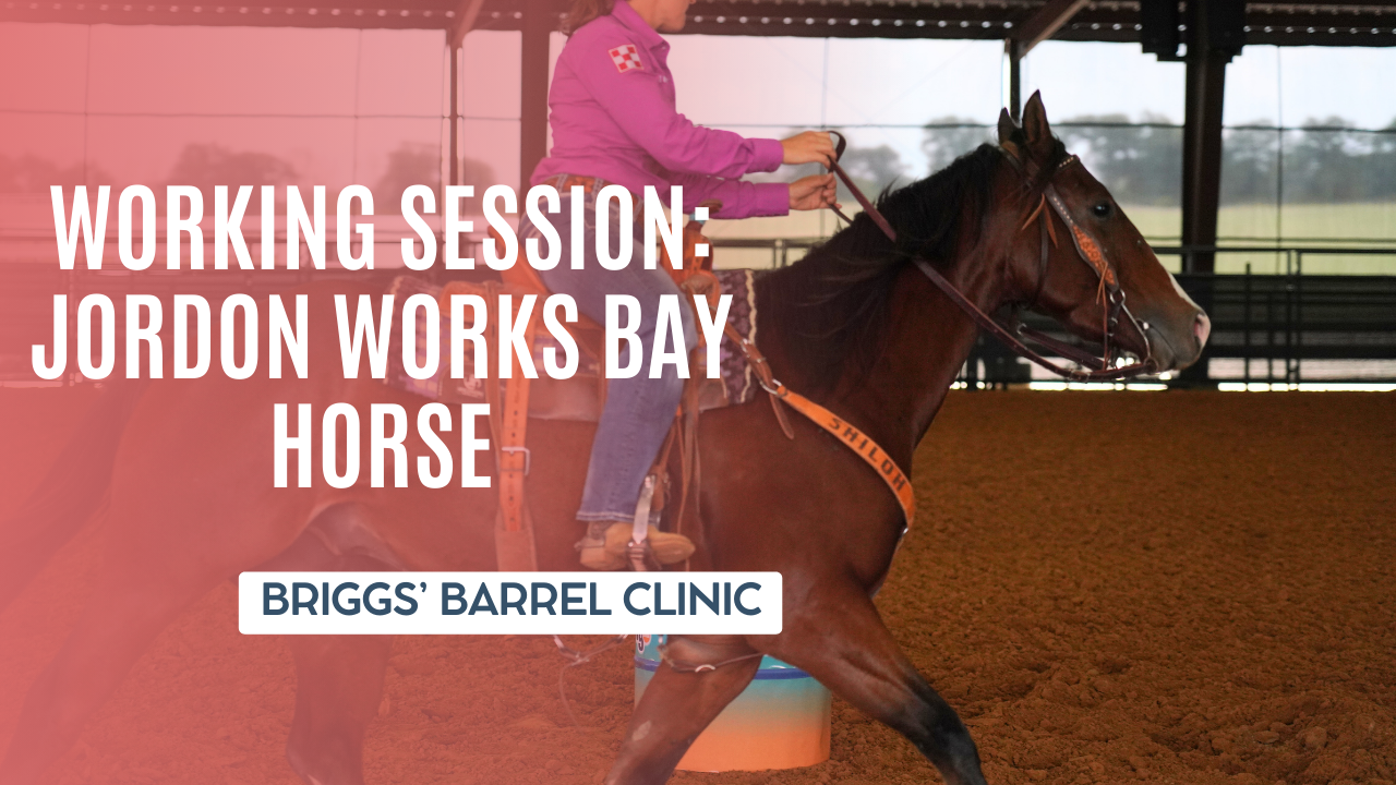Working Session: Jordon Works Bay Horse