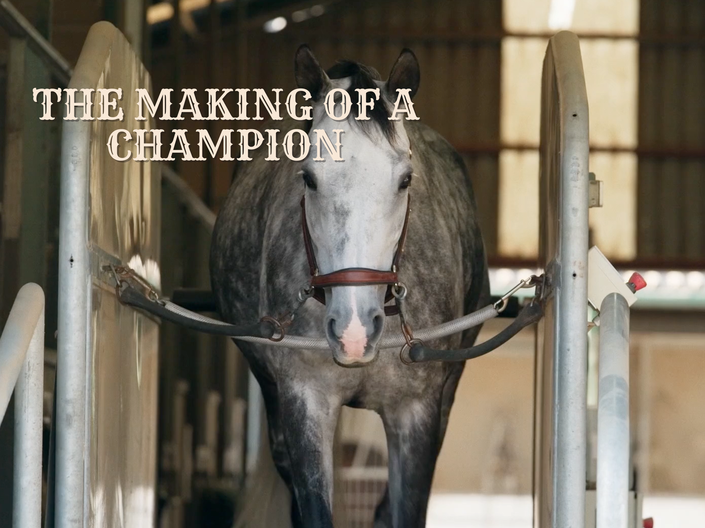 The Making of a Champion Presented by Boehringer Ingelheim