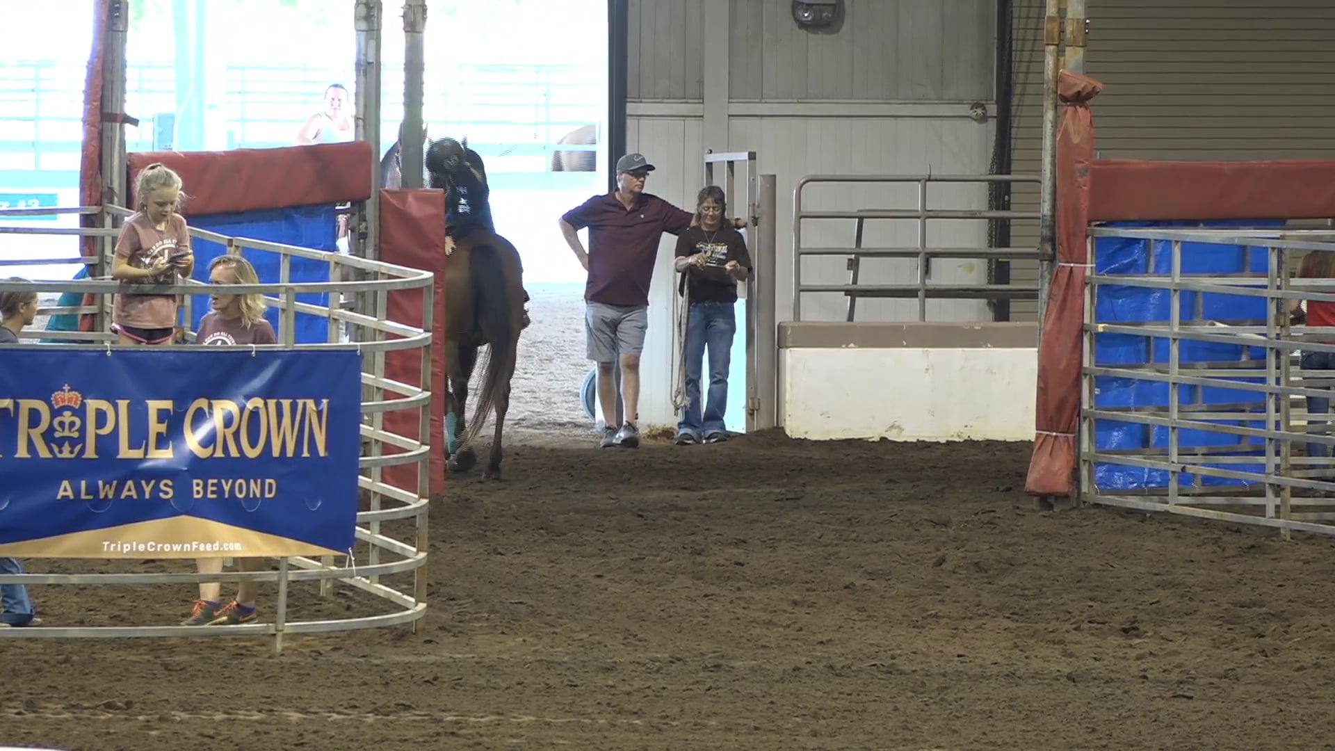 2019 NBHA GA Op1 #271-275