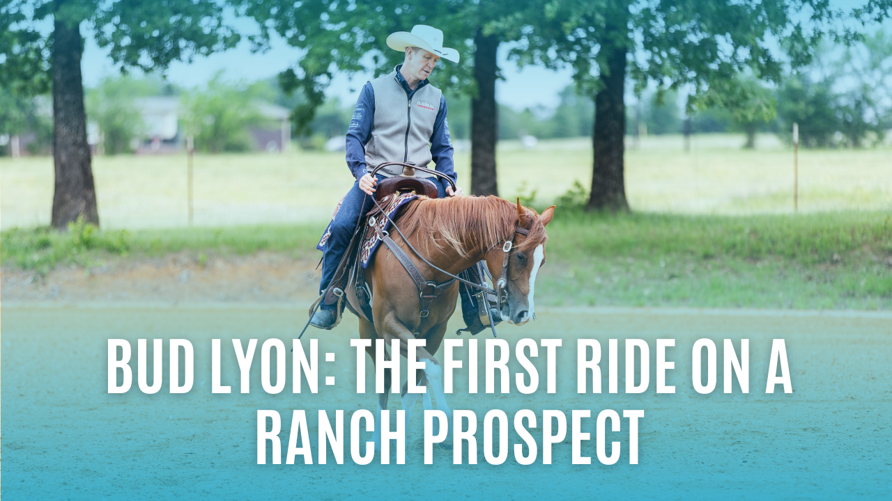 Bud Lyon: Trotting, Loping, and Reading a New Horse