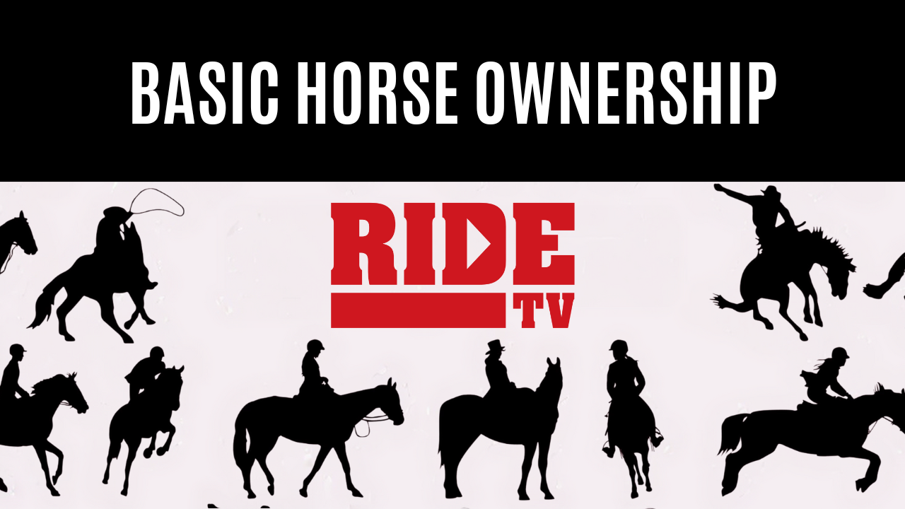 Basic Horse Ownership