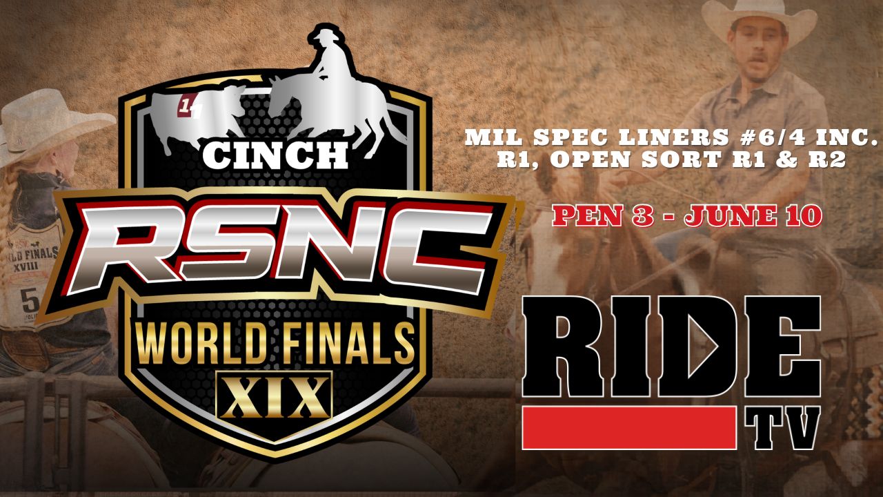 All Classes | Pen 3 | Cinch RSNC World Finals | 06/10/26