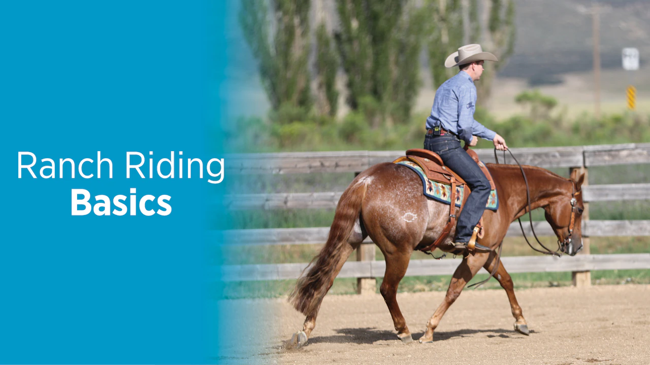 Ranch Riding Basics - RIDE TV