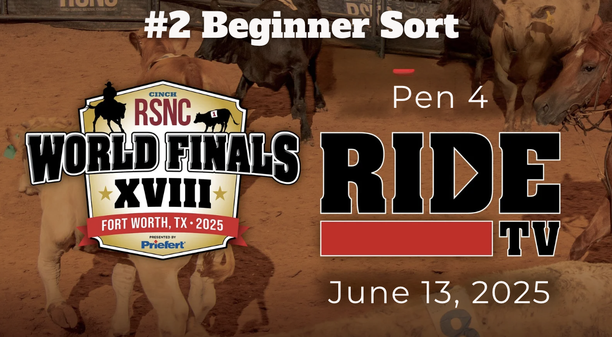 #2 Beginner Sort | Cinch RSNC World Finals | Pen 4 | June 13, 2025