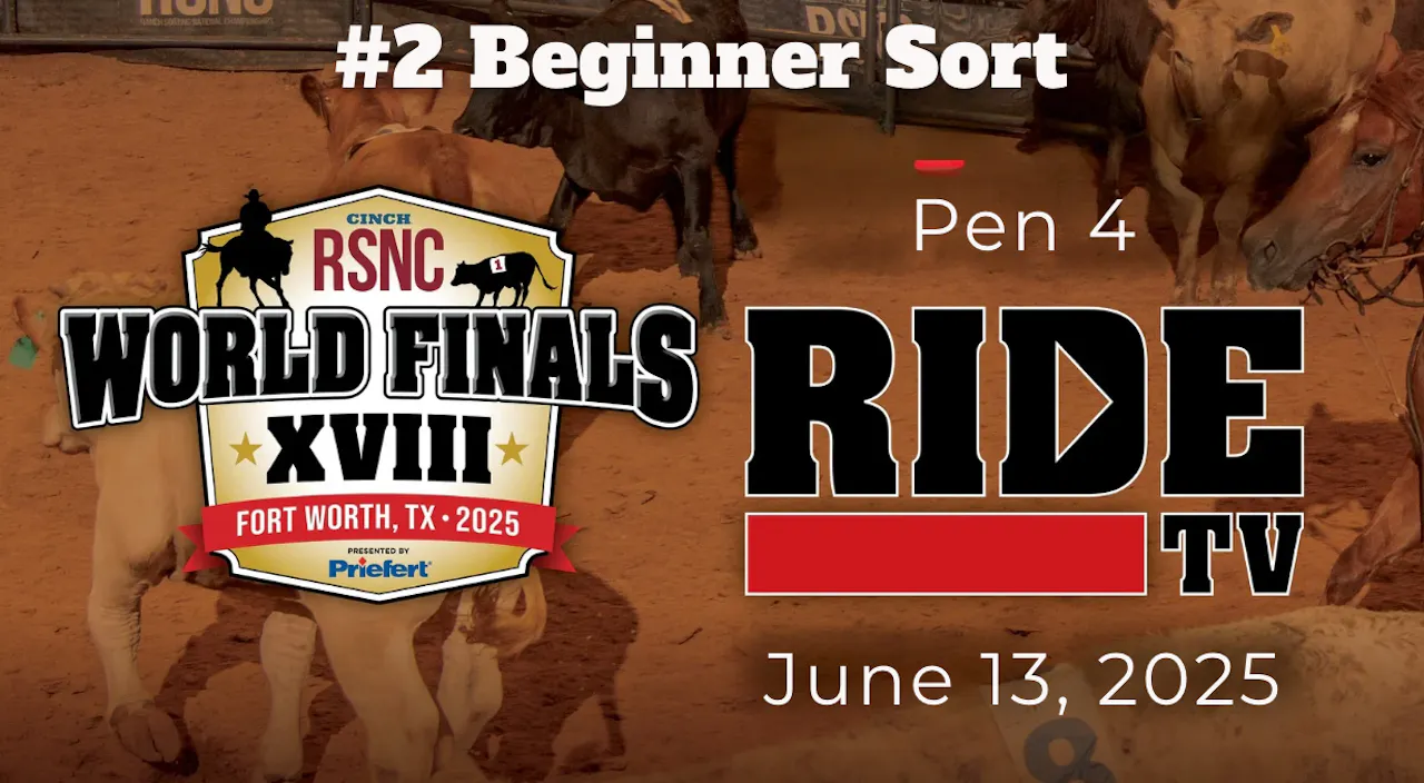 #2 Beginner Sort | Cinch RSNC World Finals | Pen 4 | June 13, 2025 ...