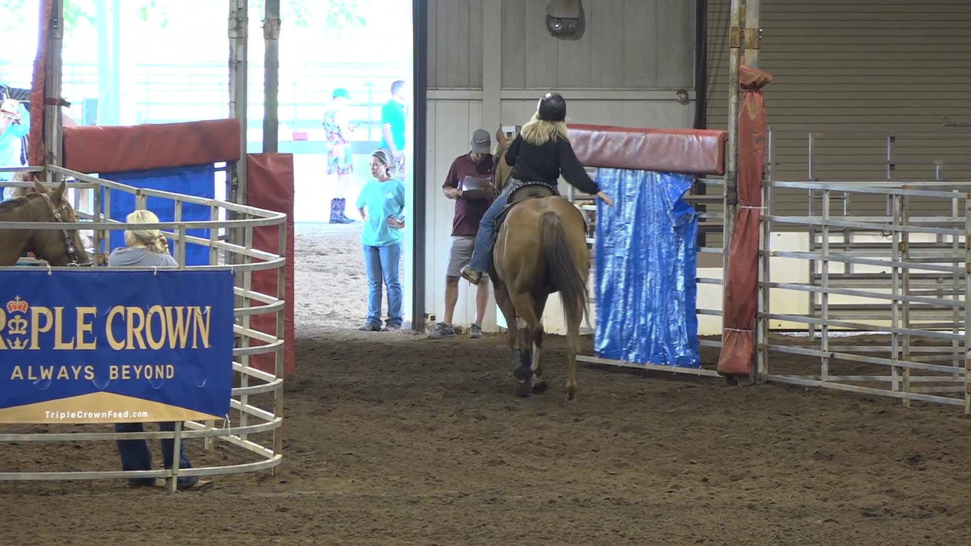 2019 NBHA GA Op1 #296-300