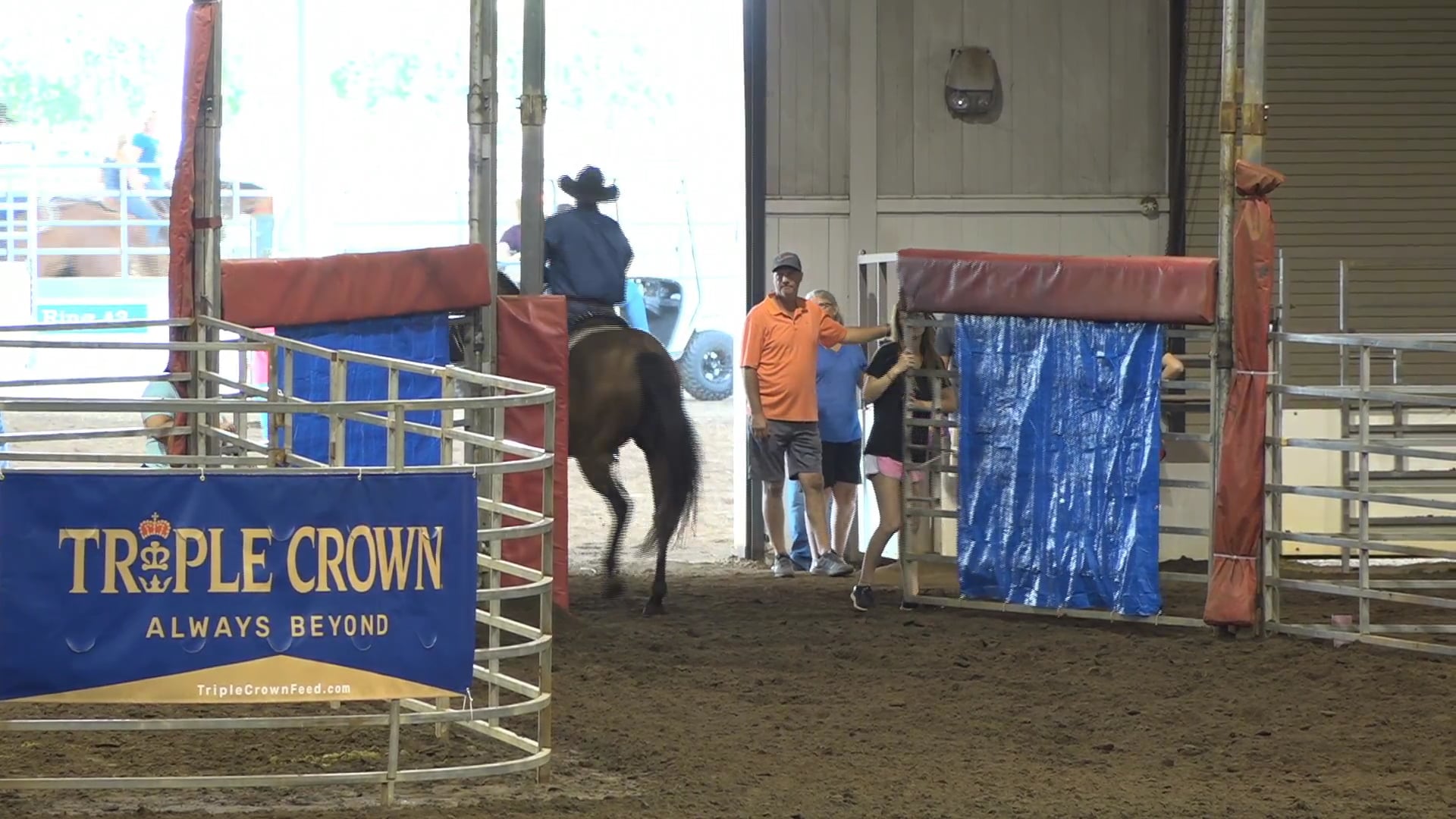 2019 NBHA GA Op2 #245-241