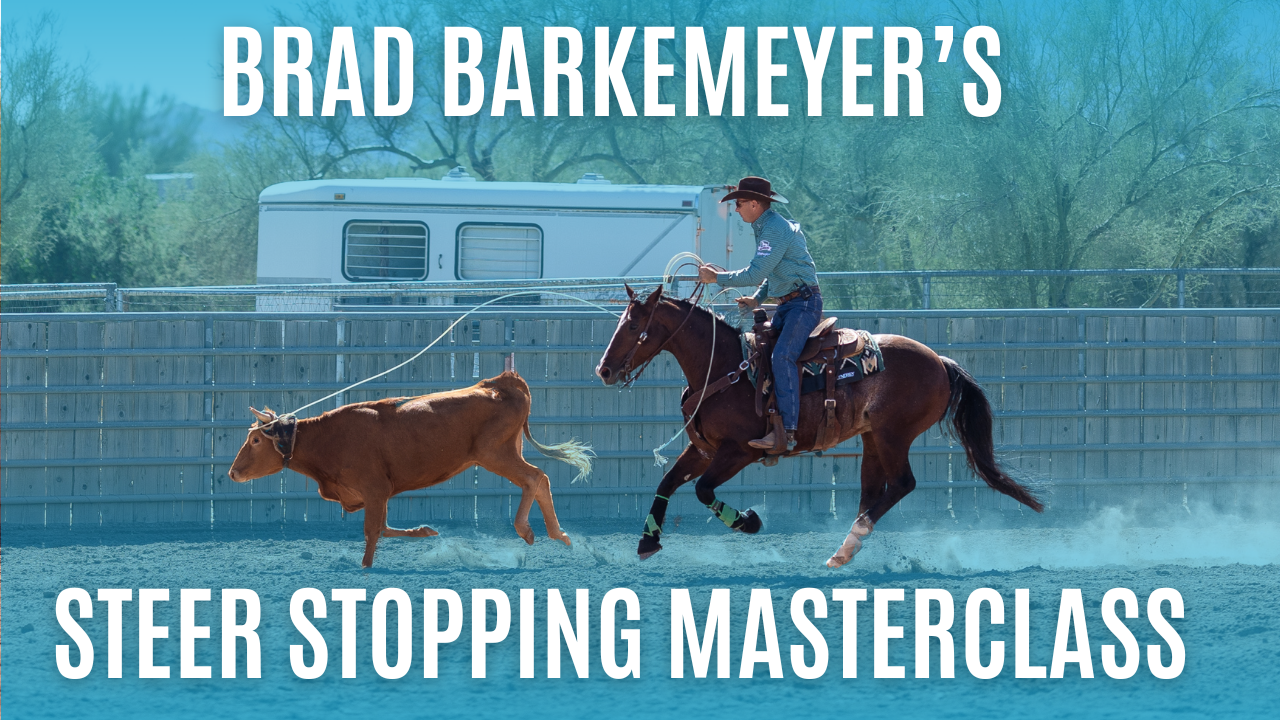 Brad Barkemeyer's Steer Stopping Masterclass