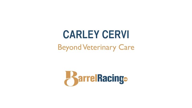 Beyond Veterinary Care