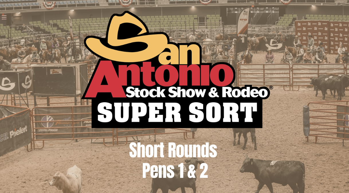 Short Rounds | Cinch RSNC San Antonio Stock Show & Rodeo Super Sort | 2/24/26