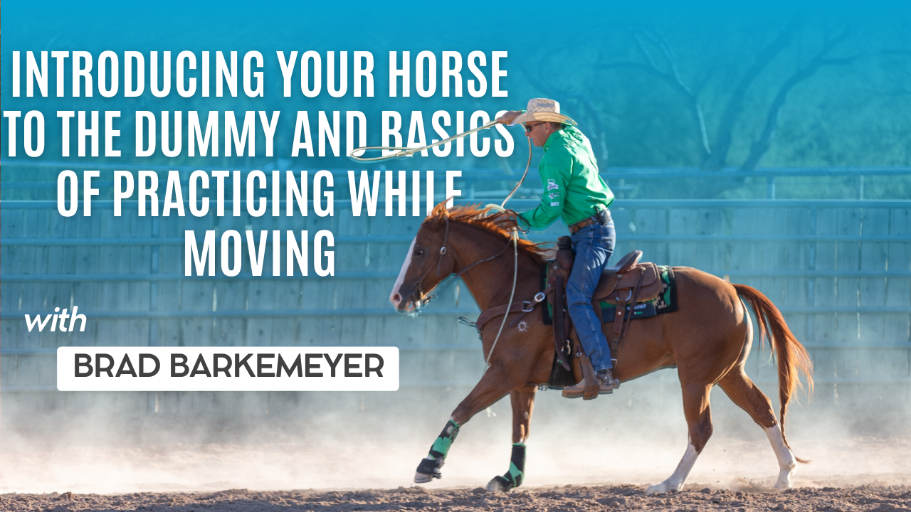 Introducing Your Horse to the Dummy and Basics of Practicing While Moving