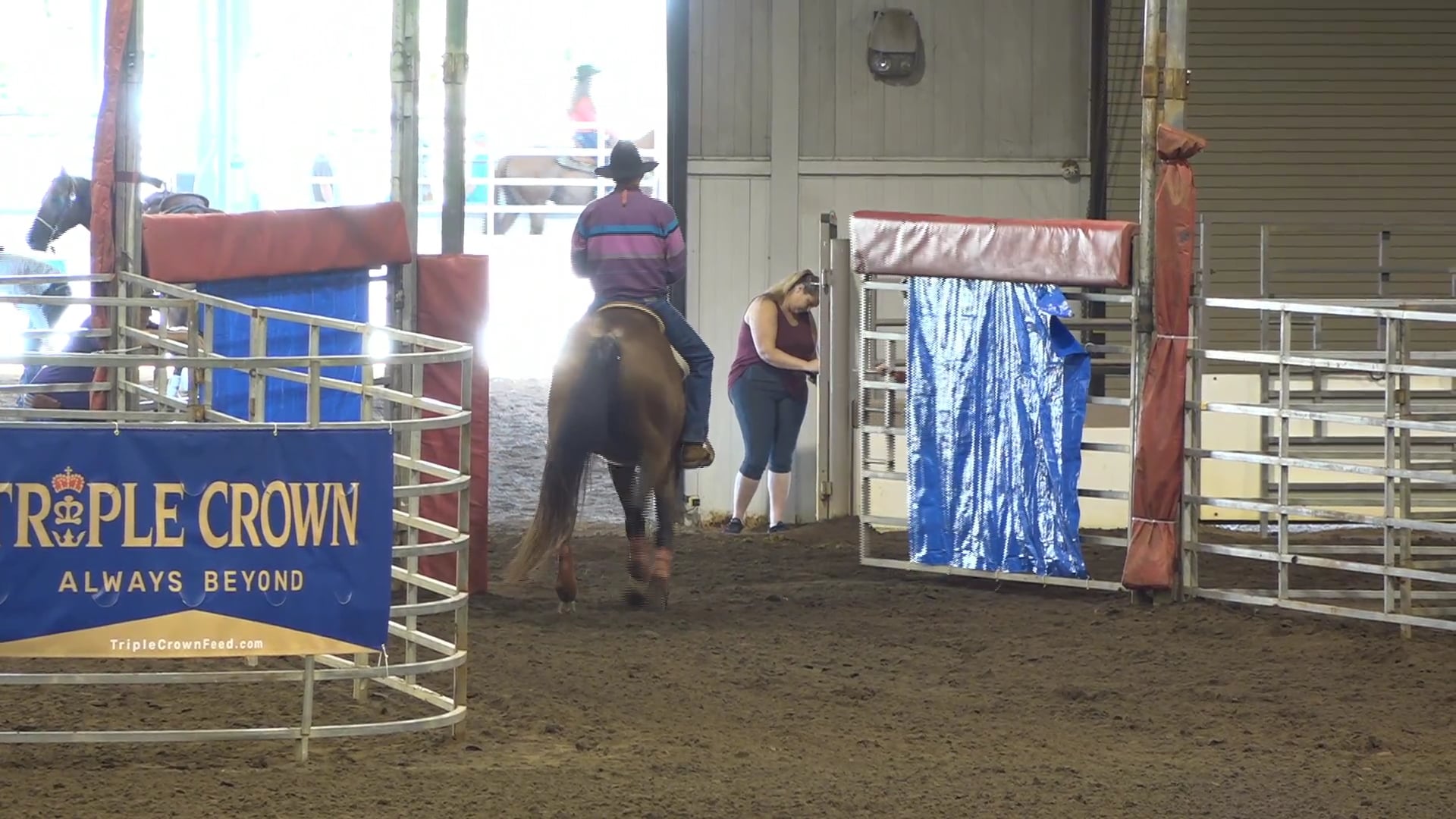 2019 NBHA GA Op1 #101-105