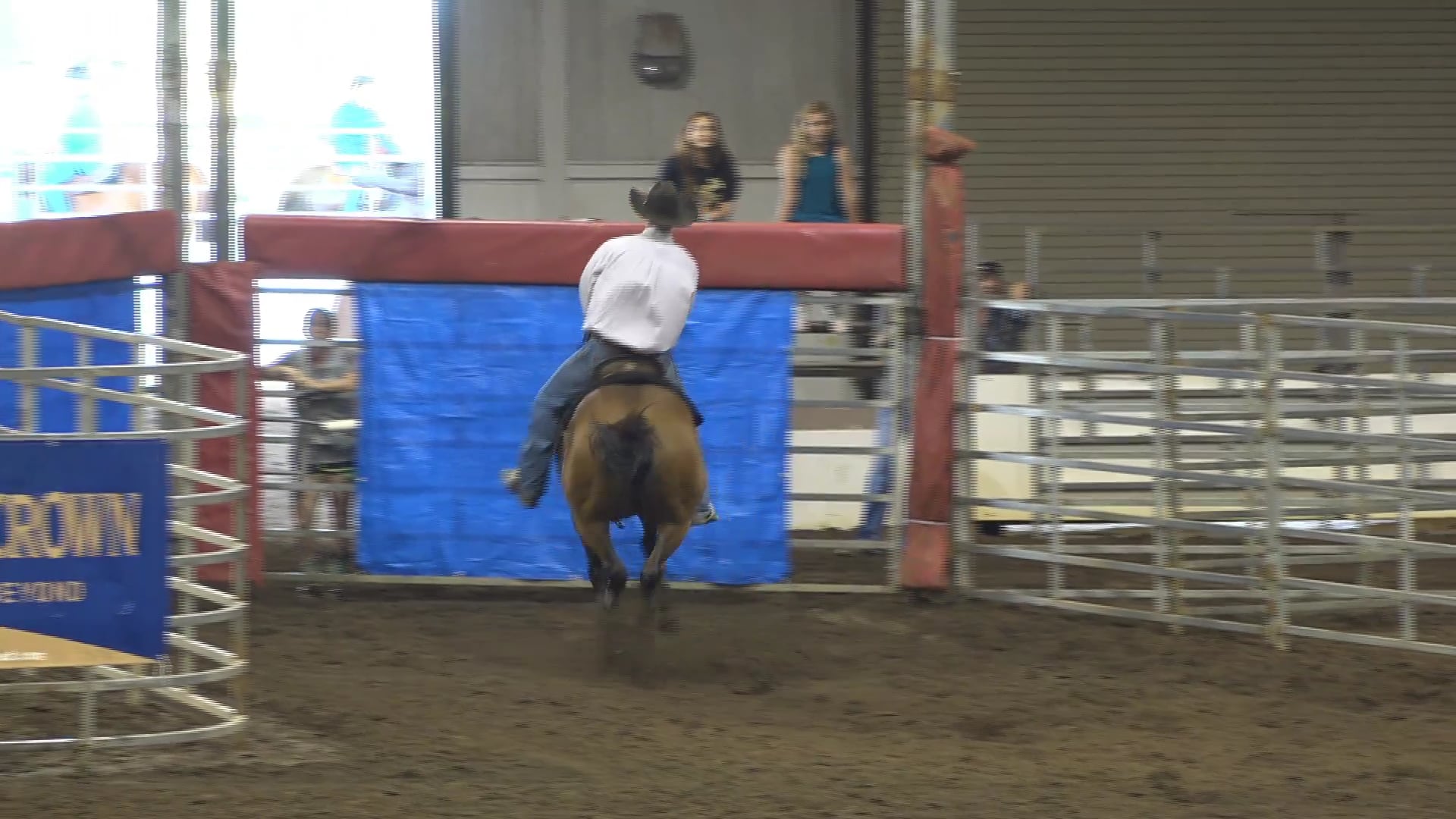 2019 NBHA GA Op2 #450-446