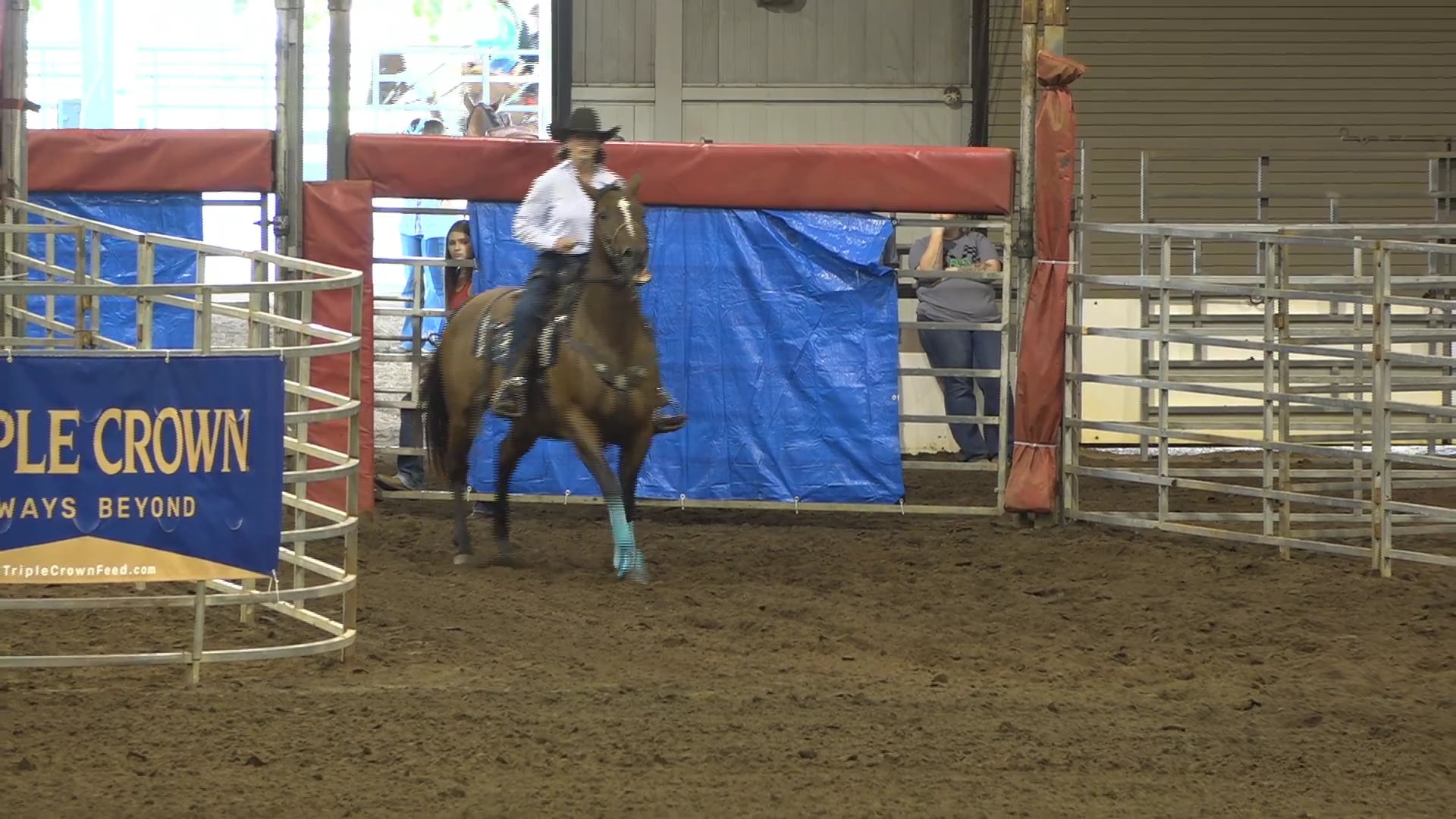 2019 NBHA GA Op1 #281-285