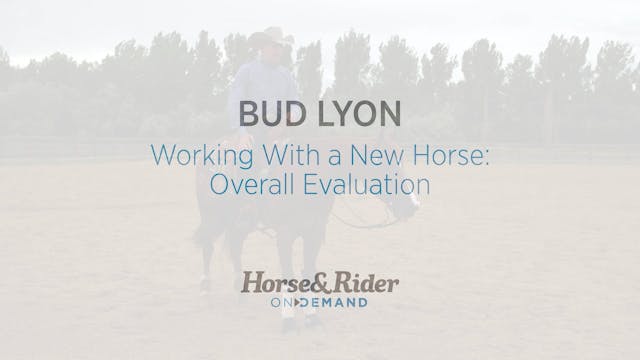 Working With a New Horse:Overall Eval...