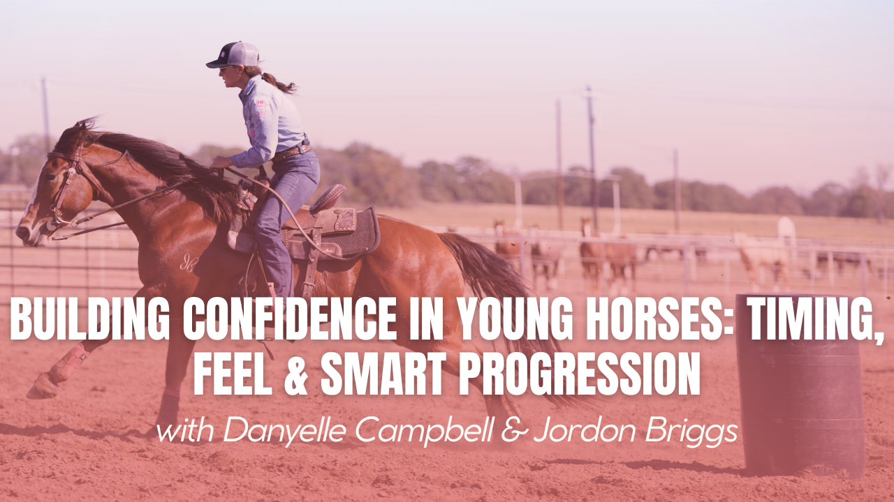 Building Confidence in Young Horses: Timing, Feel & Smart Progression
