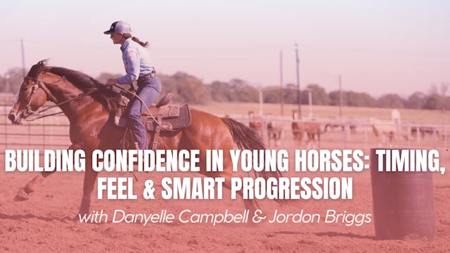 Building Confidence in Young Horses: ...