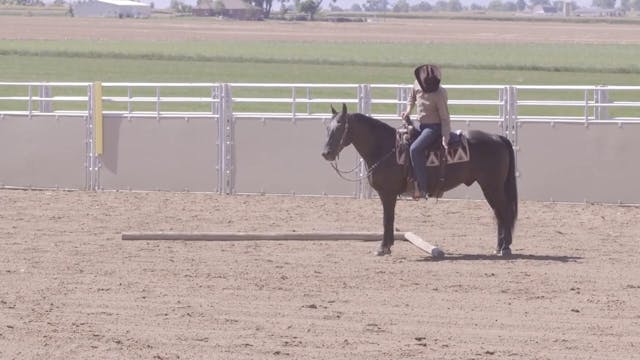 The Basics of the Ranch Riding Trail ...