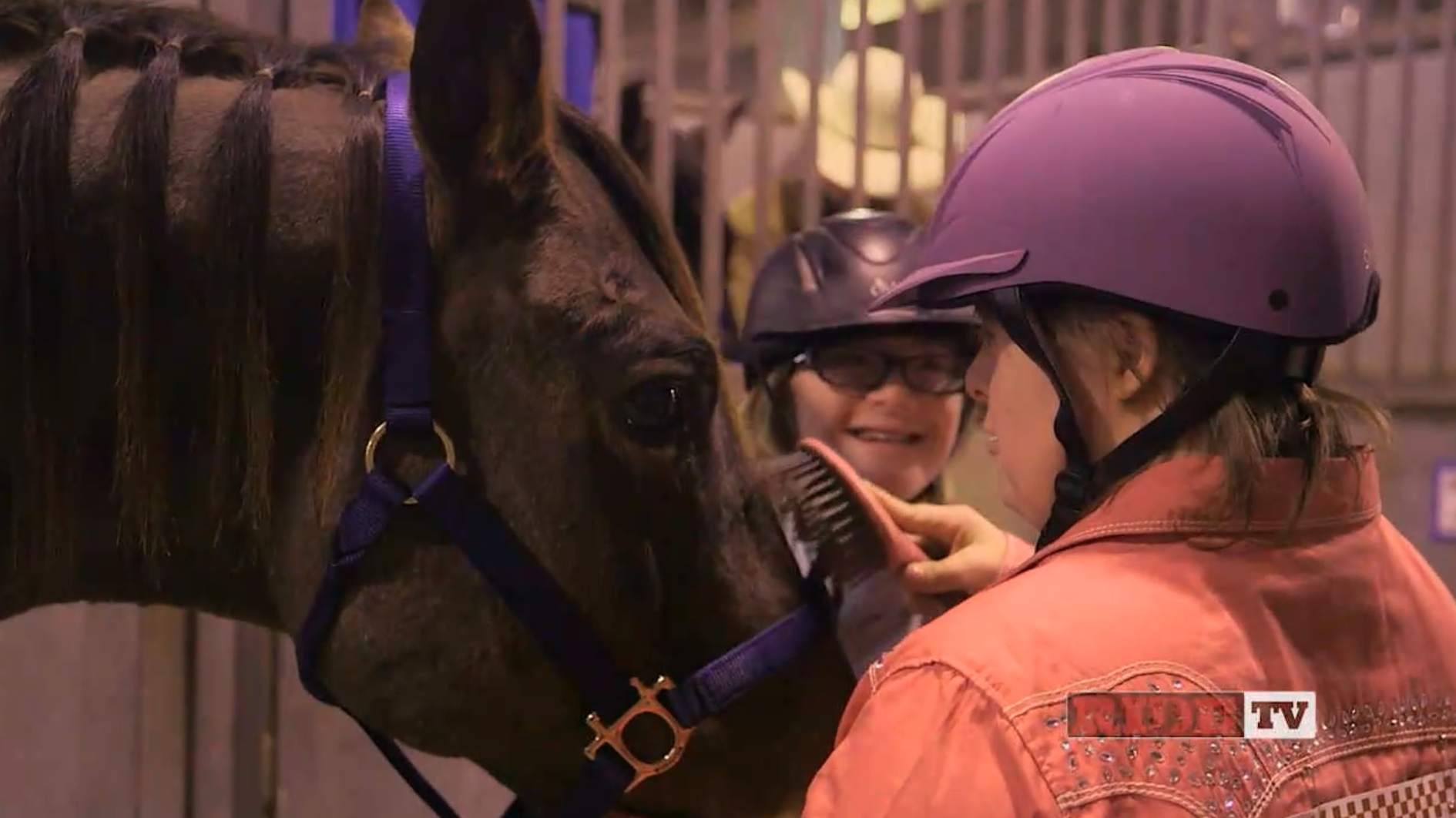 Horses That Heal: The Movie